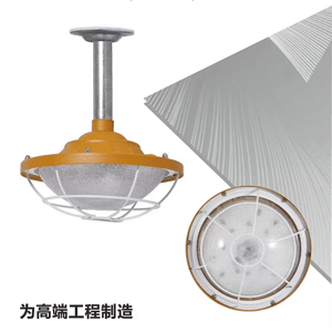 led防爆灯加油站化工厂泛光灯