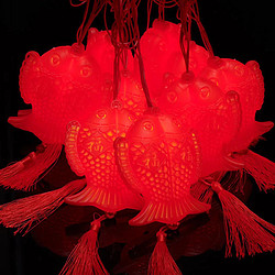 十連掛雙魚(yú)