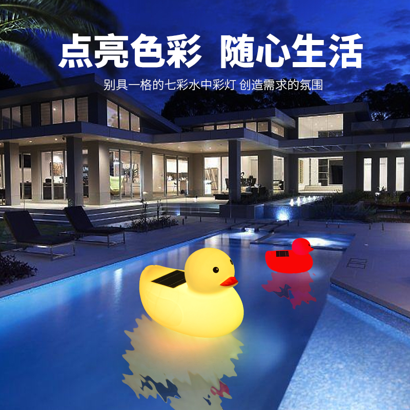 画板 1.jpg