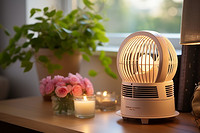 Modern Household Fan Lamps: A Stylish, Practical, and Valuable Option