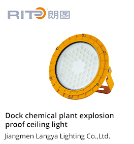 Dock chemical plant explosionproof ceiling light