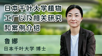 鲁娜：日本千叶大学植物工厂以及相关研究和案例介绍