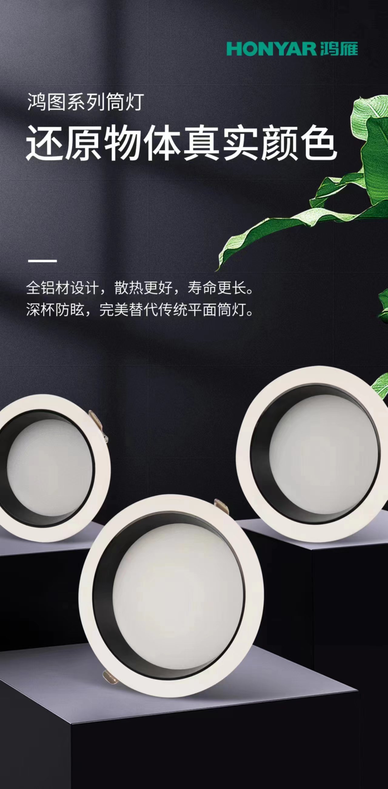 微信图片_20240222101154.jpg