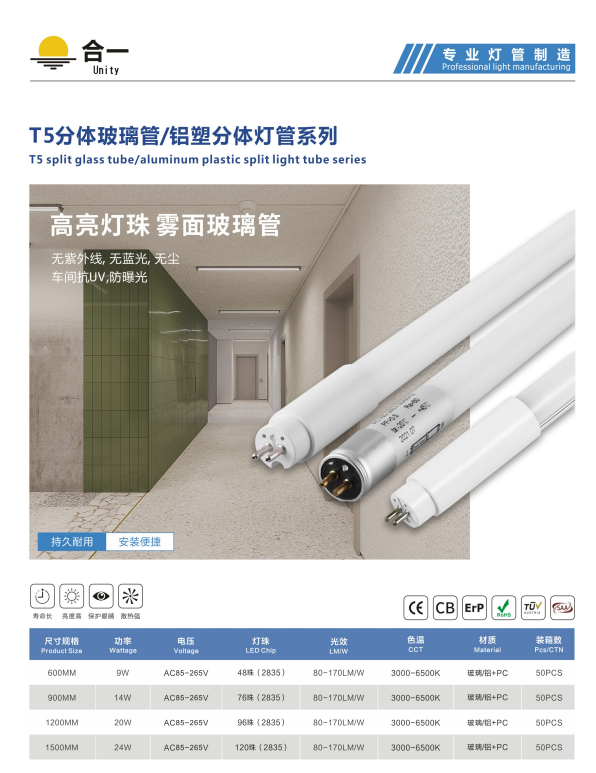 T5分体.png