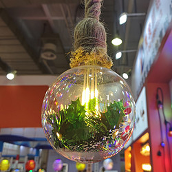 透明玻璃灯罩内置植物灯丝灯