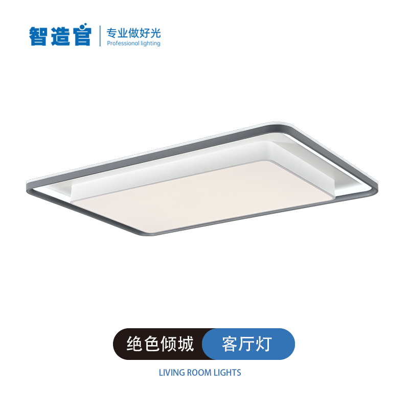 9、“绝色倾城”客厅灯.jpg