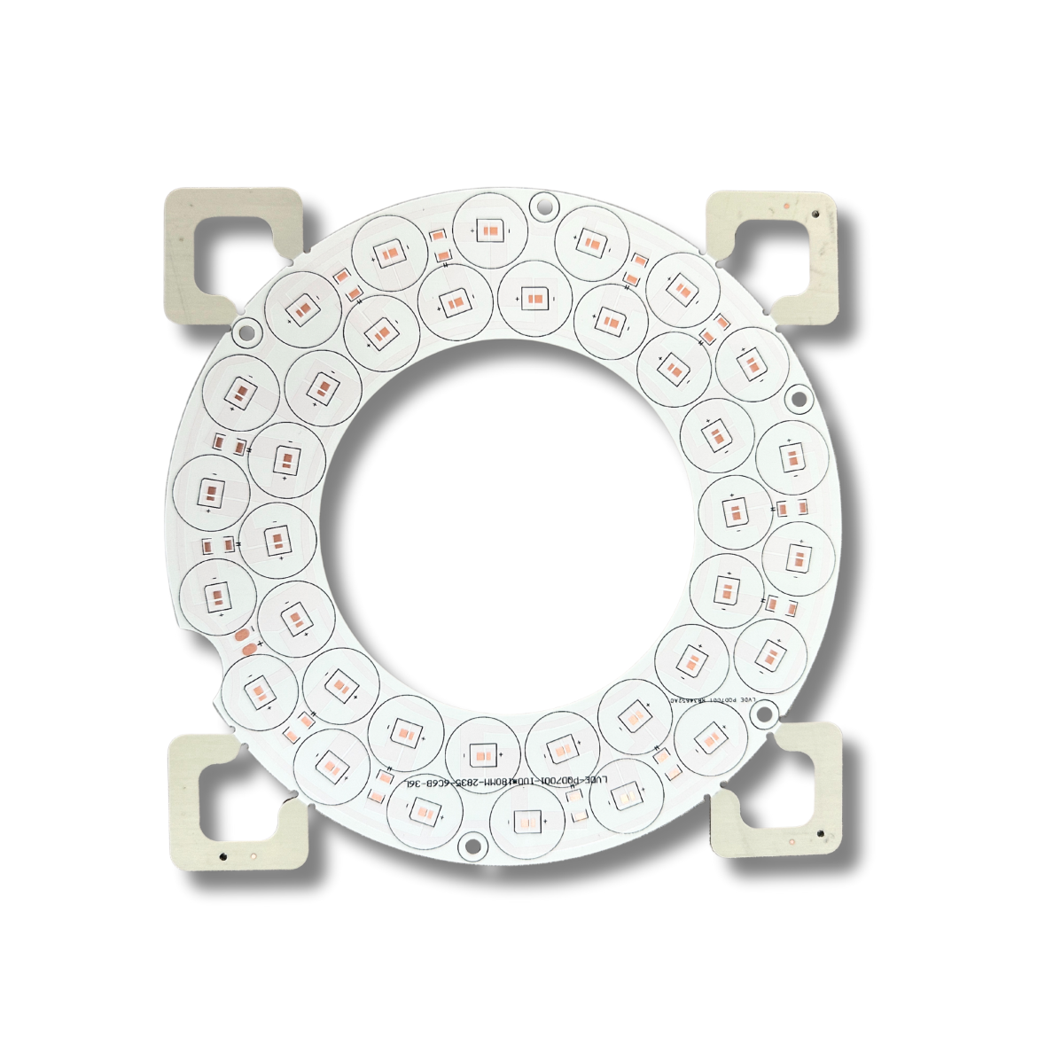 7 (2).png