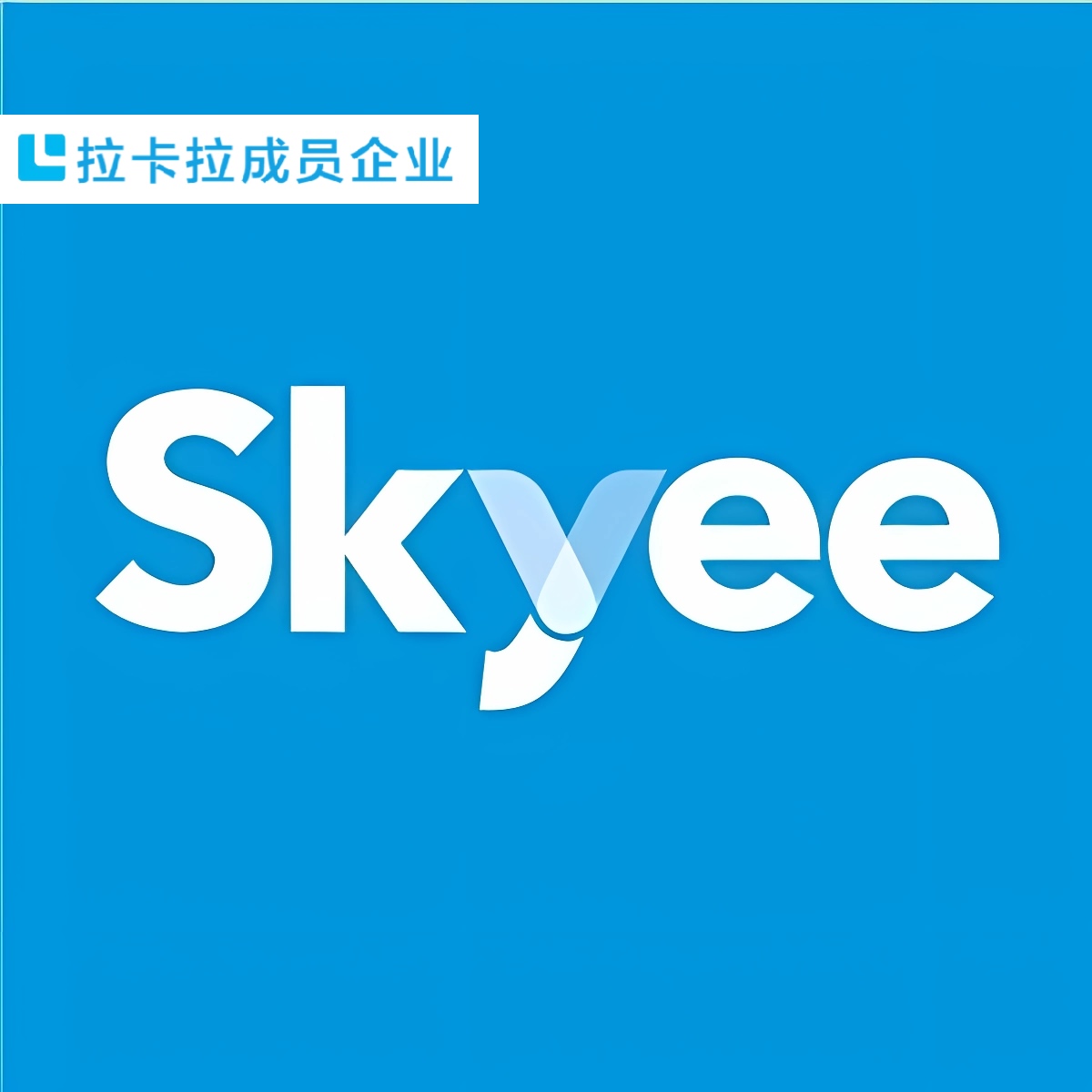 Skyee外贸收款解决方案