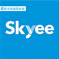 Skyee外贸收款解决方案