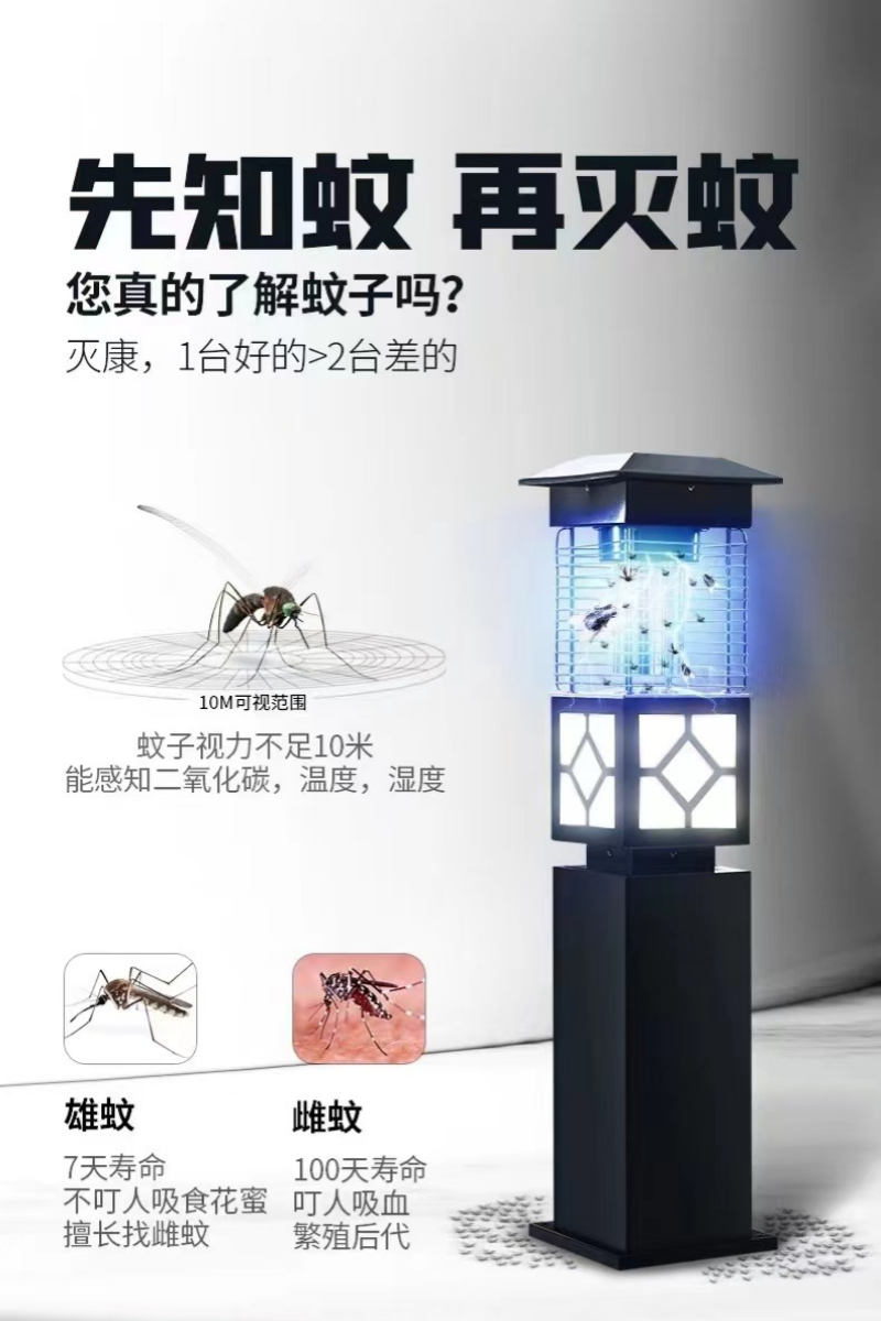 图片3_副本.png