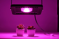 Multi- Field Application of Ultra- Thin Floodlight