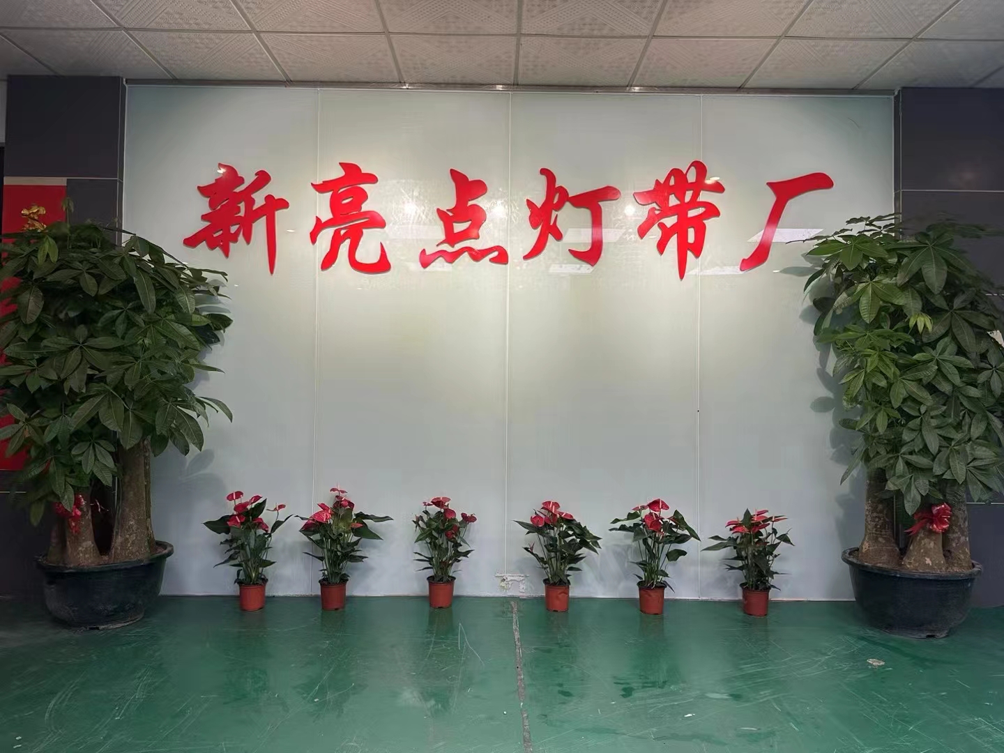 cf25a9ecbe31043b10c6af0ef738b884_.jpg