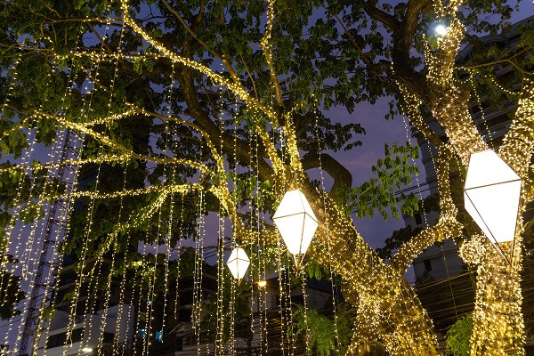 桃花樹燈：點(diǎn)亮夢幻春夜的溫馨浪漫