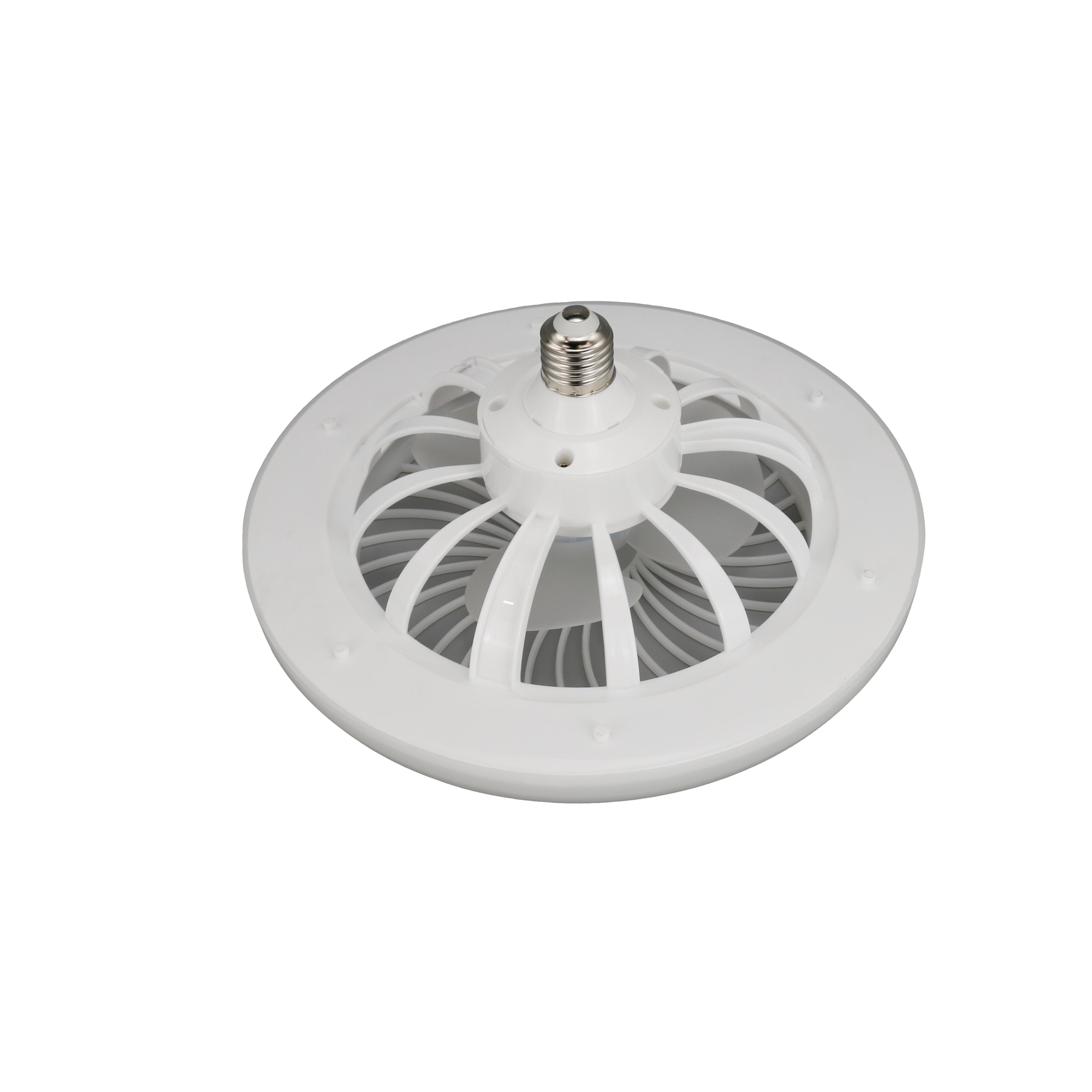 Dual-purpose remote control screw fan light