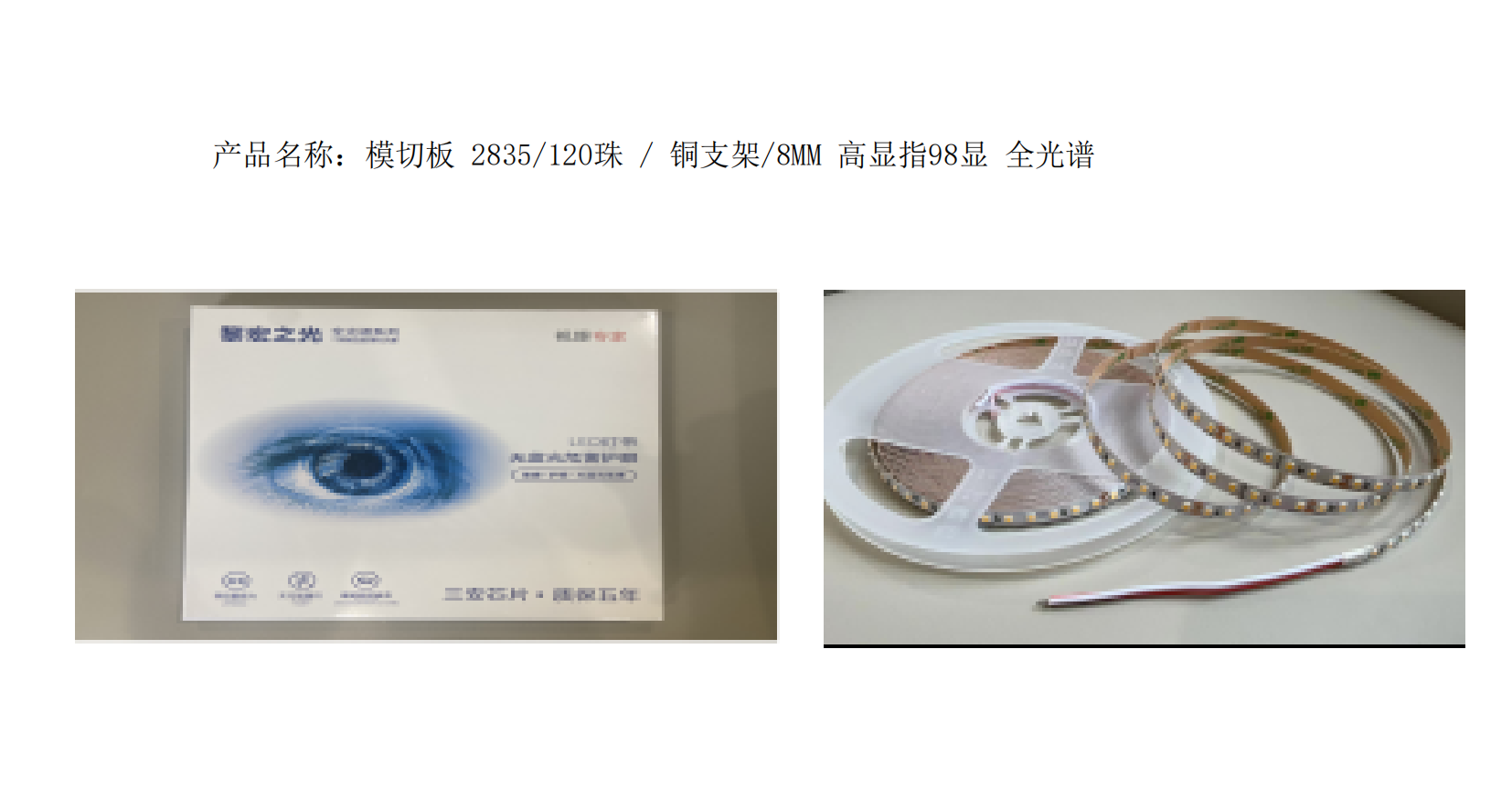 黎宏之光_02 - 副本 (2).png