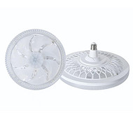 Indoor special screw fan lamp