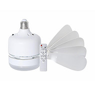 Smart remote control fan light