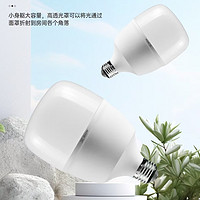 High-brightness energy-saving bulbs