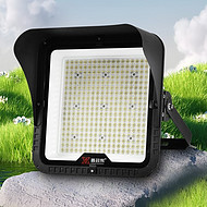 Enough wattage highlight outdoor floodlights