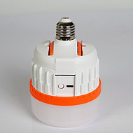 Portable energy-saving LED bulbs