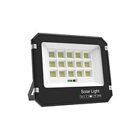 Outdoor high-gloss black enclosure lighting floodlights