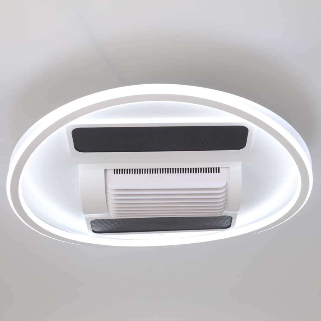 Leaf free ceiling fan lamp, infrared winter heating, graphene heating, ceiling lamp