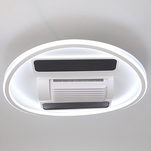Leaf free ceiling fan lamp, infrared winter heating, graphene heating, ceiling lamp