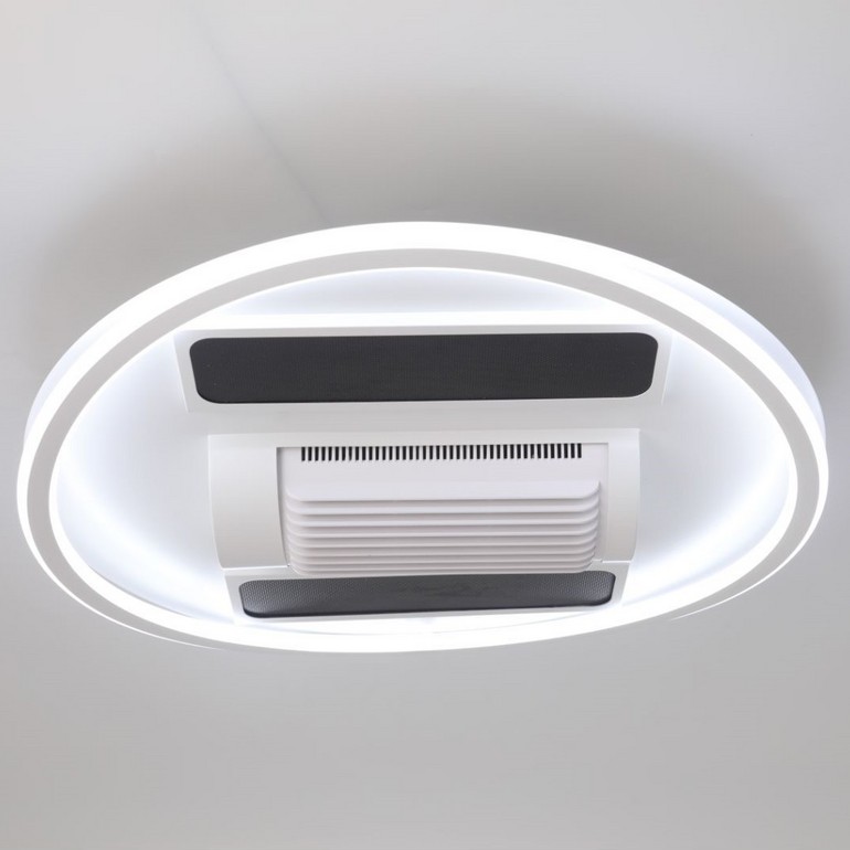 Leaf free ceiling fan lamp, infrared winter heating, graphene heating, ceiling lamp