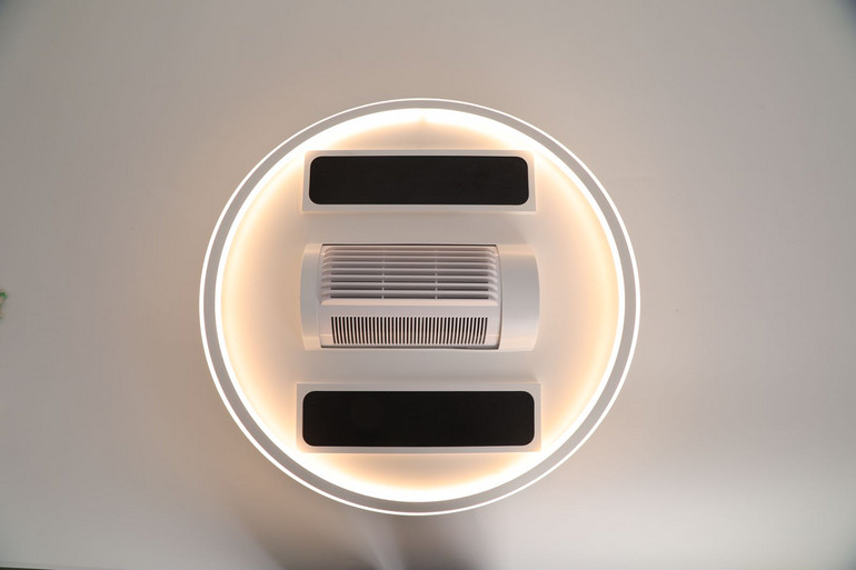 Leaf free ceiling fan lamp, infrared winter heating, graphene heating, ceiling lamp