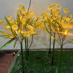 Cute bouquet pretty landscape light