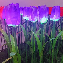 Purple Tulip Atmosphere landscape light