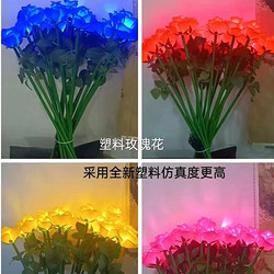 Various colorful rose landscape light