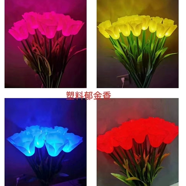 Various colorful tulip  landscape light