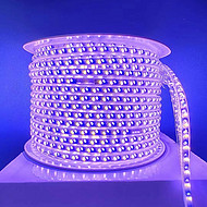 LED high voltage light strip with high brightness, flexible atmosphere, waterproof light strip