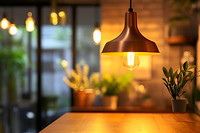 COB Light Source And Its Application