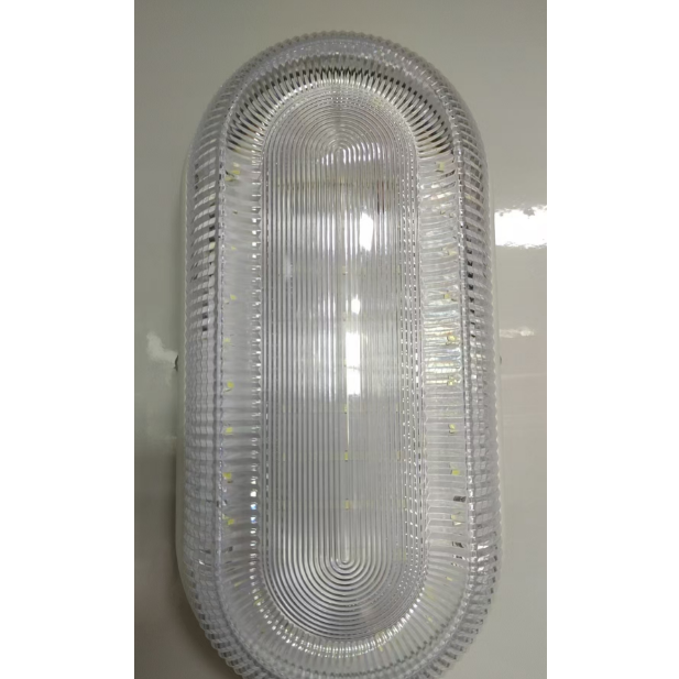Factory specific transparent frosted tri-proof light