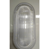 Factory specific transparent frosted tri-proof light