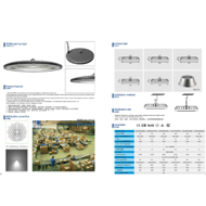 Factory workshop industrial pendant lighting