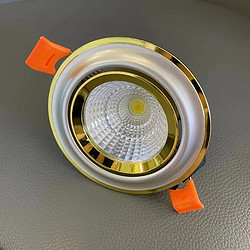Gold and silver double color restaurant household spotlights