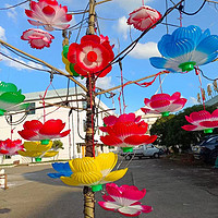 Vibrant Festival Lotus Lights