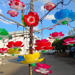 Vibrant Festival Lotus Lights