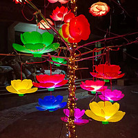 彩光莲花装饰灯