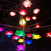 防水幻彩莲灯串