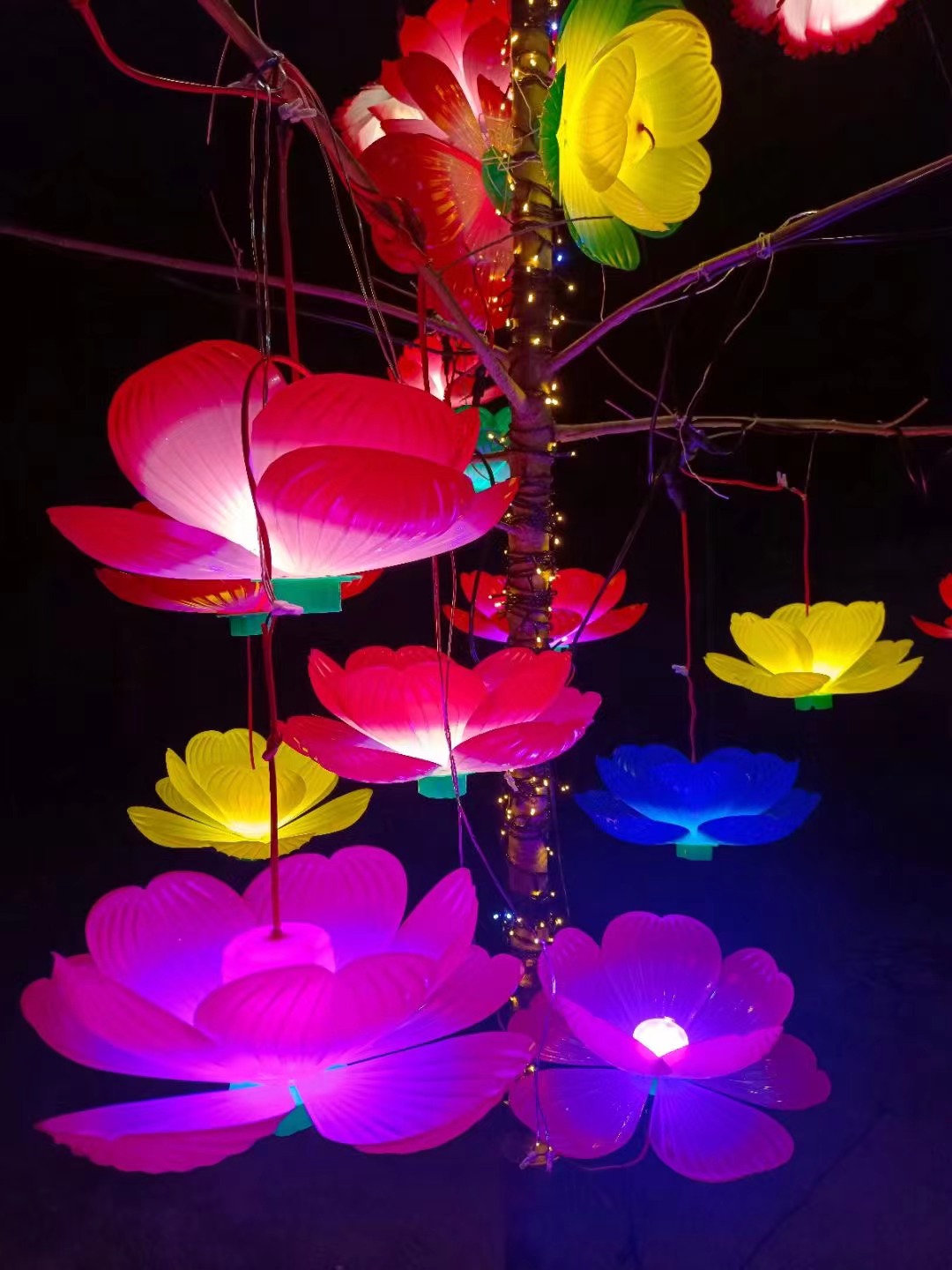 微信图片_20240919150915.jpg