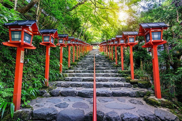 常規(guī)樹滕燈：園林景觀的光影藝術(shù)