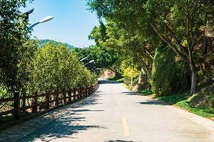 太阳能小路灯：绿色能源之光
