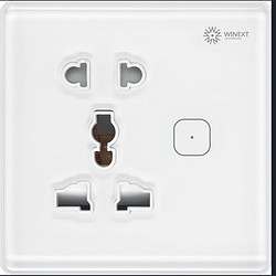 DS-501 smart socket panel