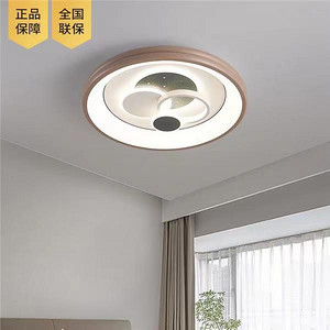 Modern Simple Creative Ceiling Lamp