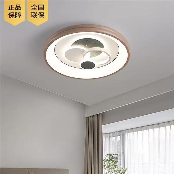 Modern Simple Creative Ceiling Lamp