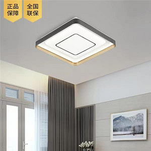 Simple square fashionable ceiling light